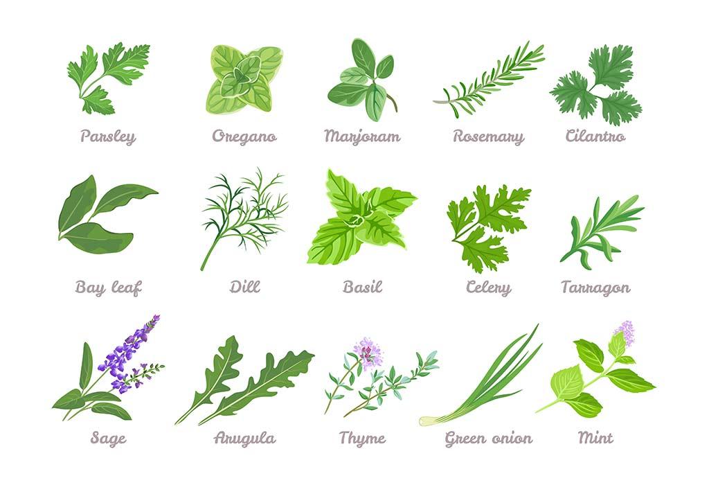Enhancing ⁢Flavor​ with Herbs and Seasonings